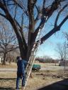 Dee Berryhill holding the ladder for Billy Loubier.