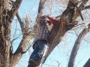 Billy Loubier making short work of that old broken limb.