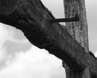 cross1